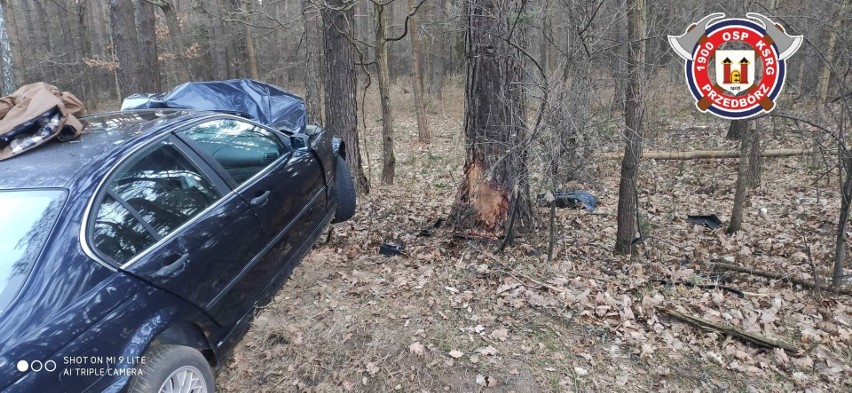 Wypadek na DK42 w Wygwizdowie w gminie Przedbórz. Kierujący bmw, 19-latek, uderzył w drzewo!