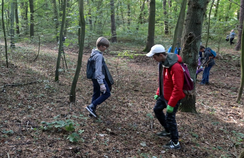 Sprzątanie Świata 2019. Ochotnicy sprzątali Las Arkoński w Szczecinie [WIDEO, ZDJĘCIA]