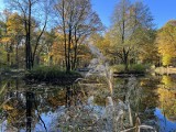 Park Zielona w Dąbrowie Górniczej, pełen dorodnych dębów, mieni się jesiennymi barwami. Nadal zachęca do spacerów 