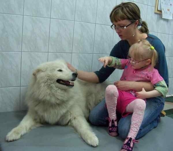 Kudłaty samojed pomaga małej Maji przezwyciężyć lęki.