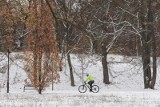 Opady śniegu w Kujawsko-Pomorskiem. Jak długo będzie biało? IMGW ostrzega - będzie śnieg i mróz