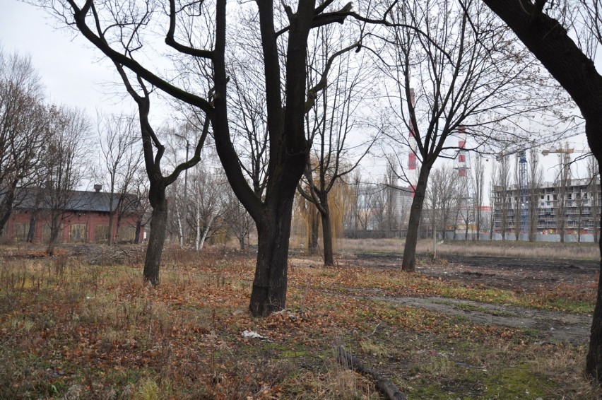 Mieszkańcy Kępy Mieszczańskiej chcą Central Parku zamiast kolejnych bloków