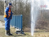 Wrocław: Awaria wodociągowa w pobliżu AOW. Osiem ulic bez wody (LISTA)