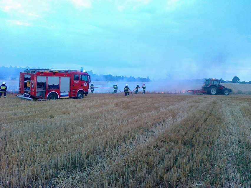 Ściernisko gasili strażacy ze Zwolenia i Tczowa.