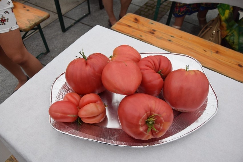 Pomidorowe święto w Krzeszowicach. Konkursy z warzywnymi okazami 