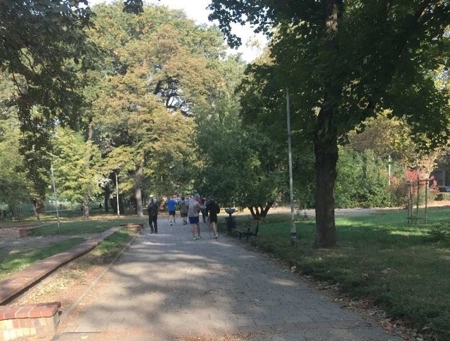 Park przy ulicy Kolejowej we Wrocławiu.