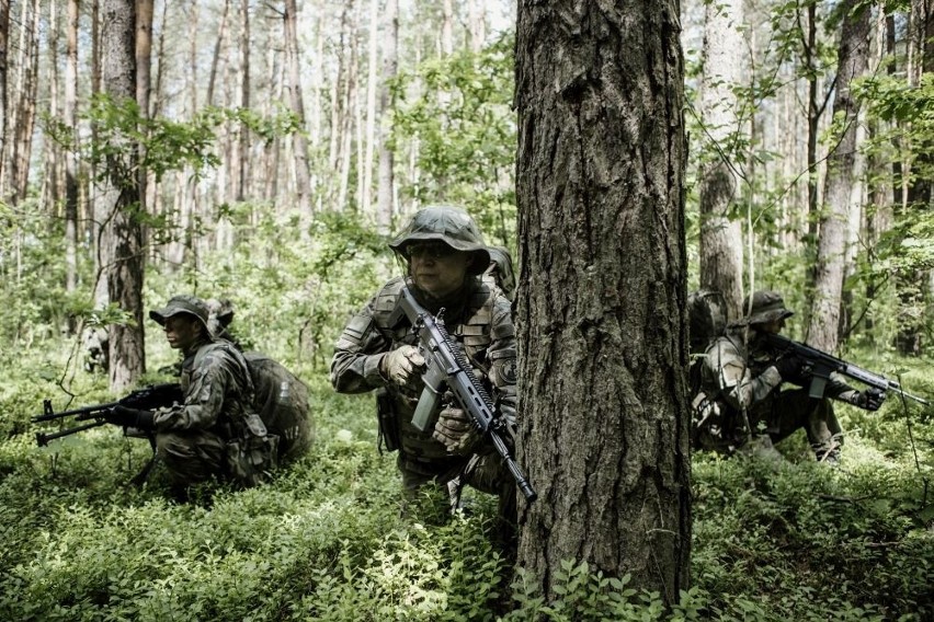 Lubelscy Terytorialsi wrócili do ćwiczeń bojowych. Ponad 600 żołnierzy szkoliło się w rejonie Lasów Parczewskich. Zobacz zdjęcia
