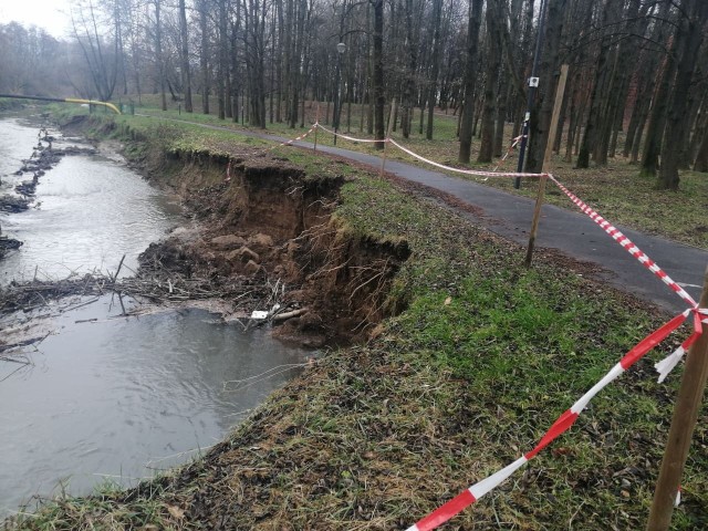 Miejsce oberwania brzegu, na wysokości Parku przy Śluzie. 200 metrów dalej Białucha wpada do Wisły.