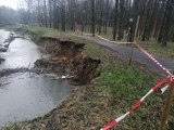 Kraków. Urwało brzegi rzeki Białuchy. Zagrożona ścieżka rowerowa w parku na Dąbiu [ZDJĘCIA]