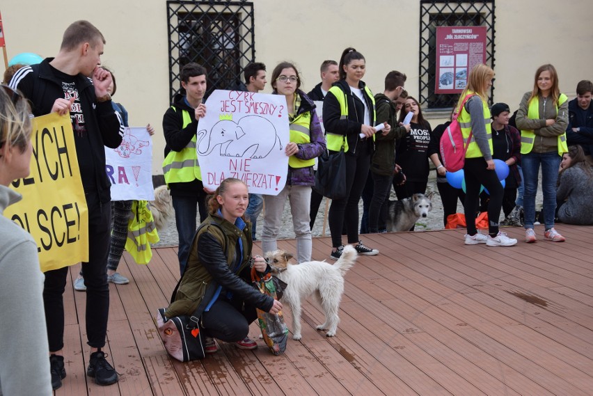 Przez Tarnów przeszedł marsz w obronie praw zwierząt 