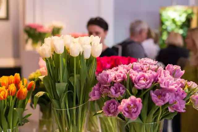 Nie wszyscy wiedzą, że kwiaty mają swoją symbolikę i nie wszystkie roślinki oznaczają miłość w taki sam sposób. Tulipany są dostępne w bardzo wielu różnych kolorach, a każdy odcień ma swoje znaczenie i symbolikę. Jakie znaczenie mają kolory tulipanów? Co symbolizują czerwone, białe czy żółte tulipany? Jakie kolory tulipanów wybrać, by wyznać miłość, a których kwiatów unikać w bukiecie dla ukochanej osoby? Zobacz teraz w naszej galerii symbolikę tulipanów i ich kolorów >>>>>