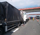 Utrudnienia na autostradzie A2. Groźny wypadek na autostradzie. Zderzenie pięciu ciężarówek. Dwie osoby zostały ranne. ZDJĘCIA 