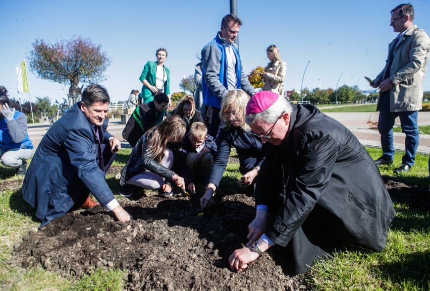 Nasz Patronat. Pola Nadziei w Rzeszowie. Zasadzili cebulki żonkili w Parku Papieskim [ZDJĘCIA, WIDEO]