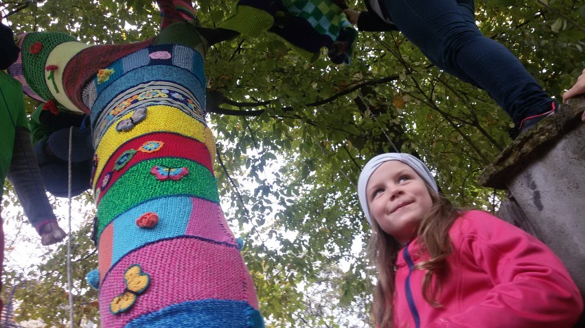 Gliwice: Drzewo w różnobarwnym szaliku promuje hospicjum WIDEO