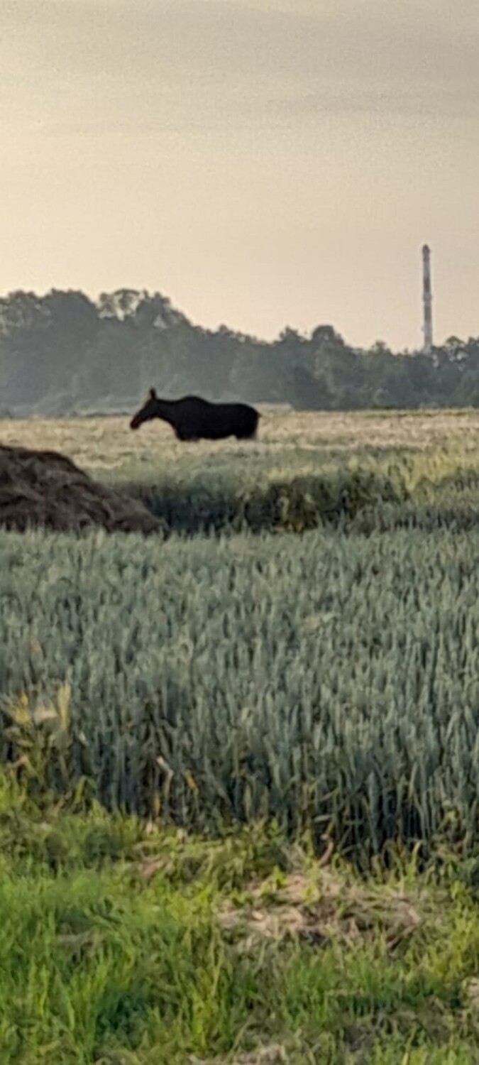 Czytelnicy Gniezno Nasz Miasto od kilku tygodni nadsyłają...