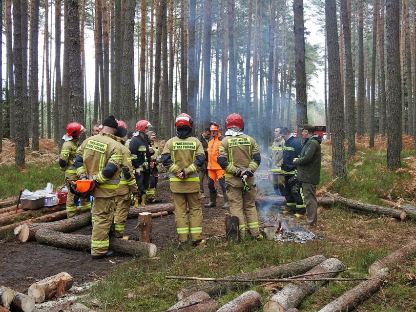 Ćwiczenia lubelskich strażaków w Nadleśnictwie Biłgoraj. Zobacz zdjęcia