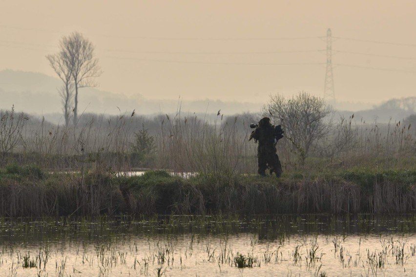 Zobacz część zwierząt i ptaków upolowanych przez fotografa.