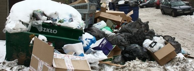 Na dzikim wysypisku przy ulicy Bukowskiego znaleźć można dosłownie wszystko. Przeważają kartony i śmieci z domowych gospodarstw.
