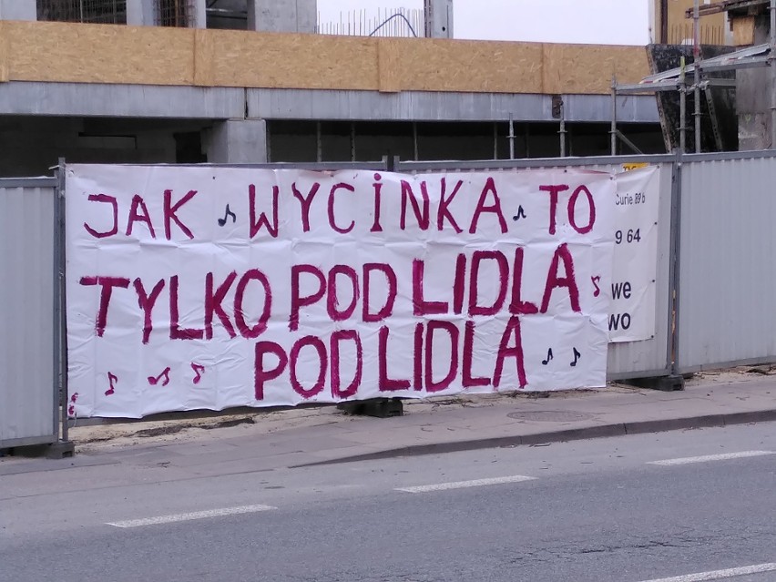 "Gdzie jest nasze drzewo?", "Jak wycinka to tylko pod Lidla,...