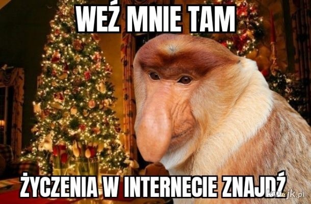 Święta, święta i po świętach czyli Boże Narodzenie oczami Polaków. Zobacz najlepsze memy!