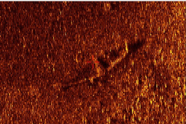 Zdjęcie sonarowe z jez. Drawsko. Widać na nim kształt, który...