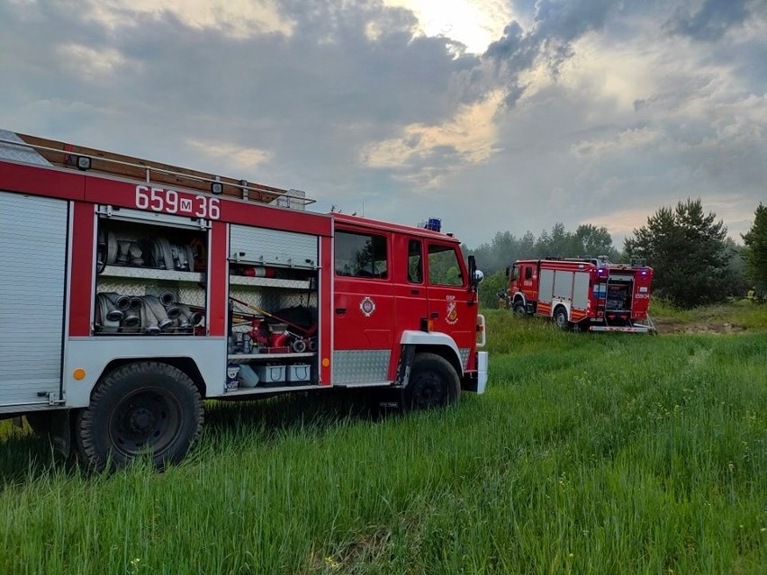 Pożar słomy i śmieci w Guzowie w powiecie szydłowieckim. Na miejscu działali strażacy