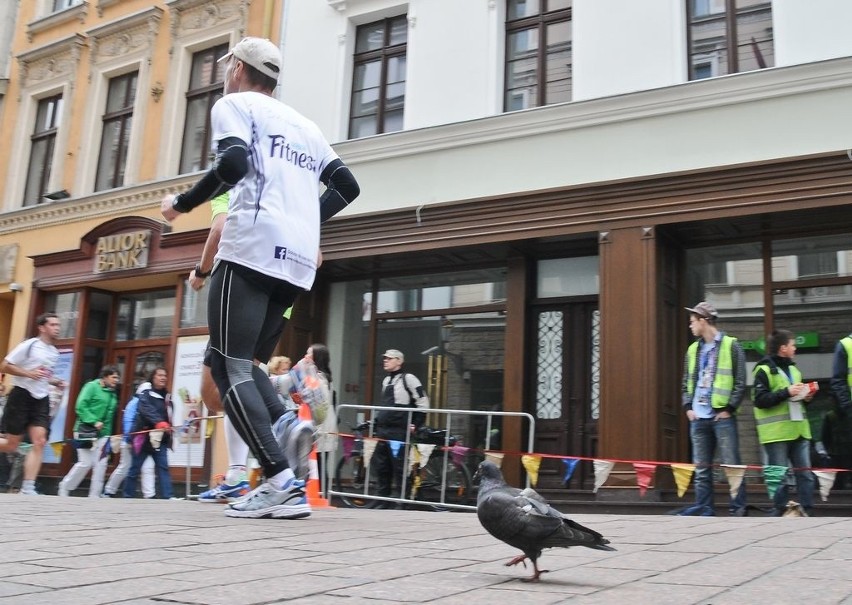 10 km Run Toruń