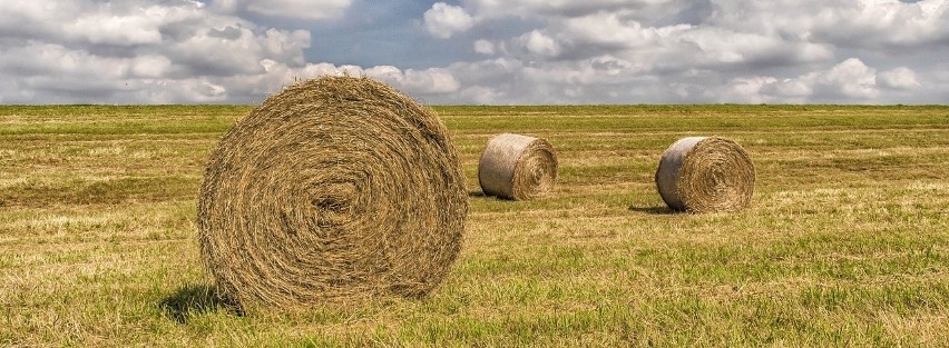 Jak sprawdzają się w Polsce ograniczenia w obrocie ziemią? Rozmowa z dyrektorem KOWR