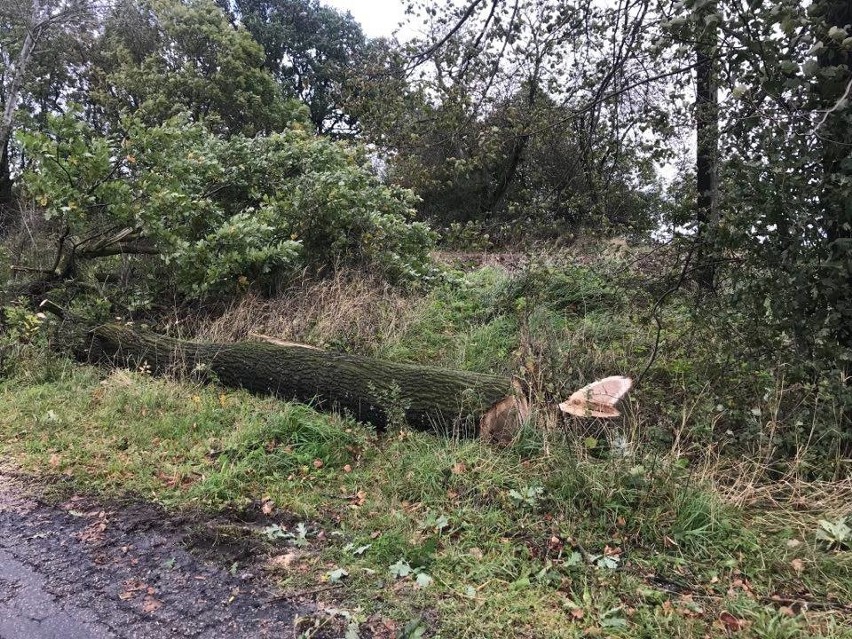 Uszkodzone dachy, połamane drzewa. W powiecie olkuskim ciągle sprzątają