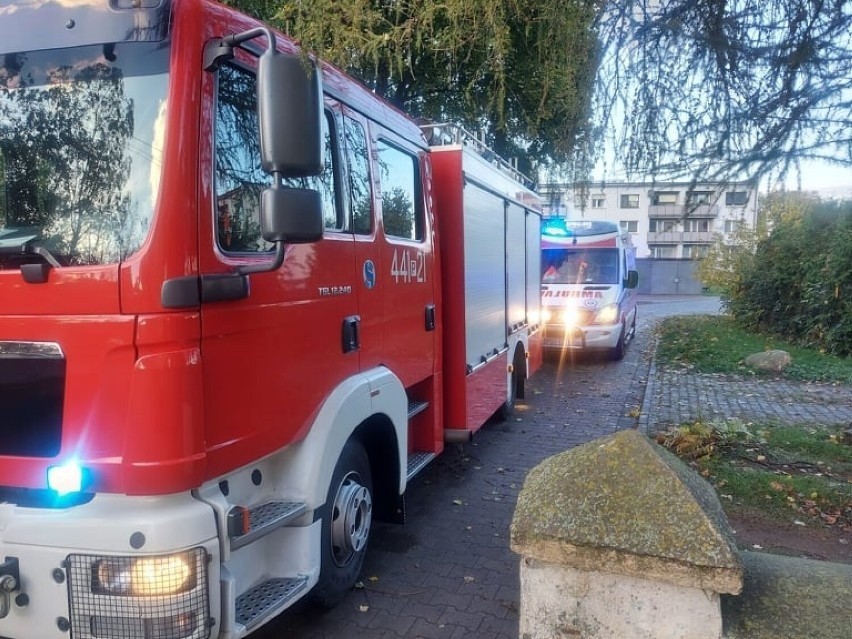 Strażacy na miejscu wykonali pomiar, który wskazał...