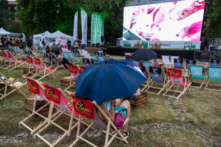 Festiwal filmów ekologicznych Green Film Festiwal po raz trzeci wystartował pod Wawelem