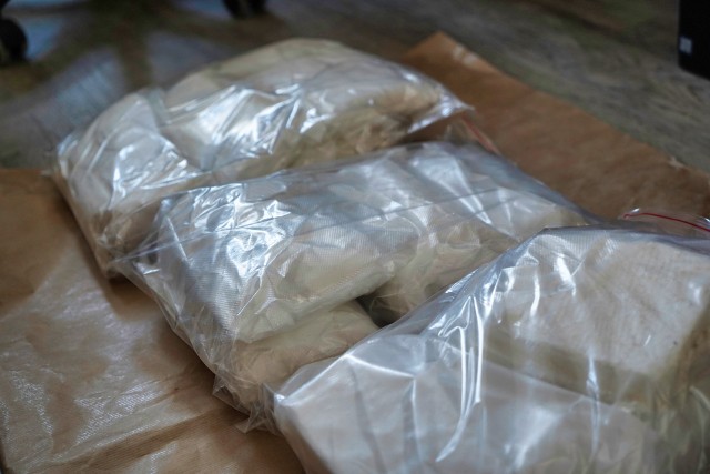 Toruńscy policjanci zatrzymali 31-letniego mieszkańca powiatu, u którego znaleźli w sumie prawie 25 kilogramów narkotyków.