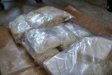 Toruńscy policjanci zlikwidowali hurtownię narkotyków. Przechwycili prawie 24 kg różnych substancji