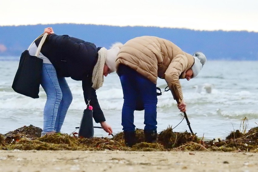 Świnoujście: Bursztynowe szaleństwo na plaży [ZDJĘCIA, WIDEO]