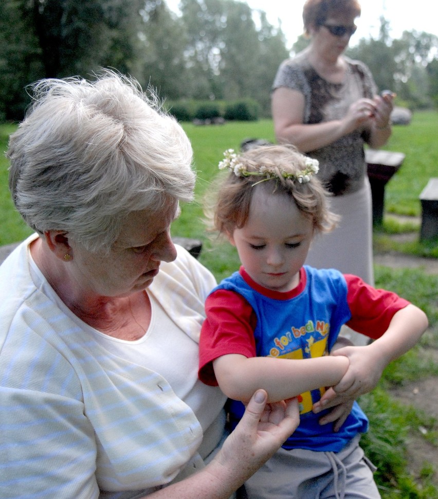 Plaga komarów to efekt wyjątkowo sprzyjającej im pogody. -...