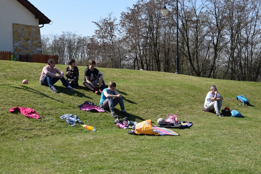 Śląski Ogród Botaniczny. Międzynarodowy Dzień Ptaków