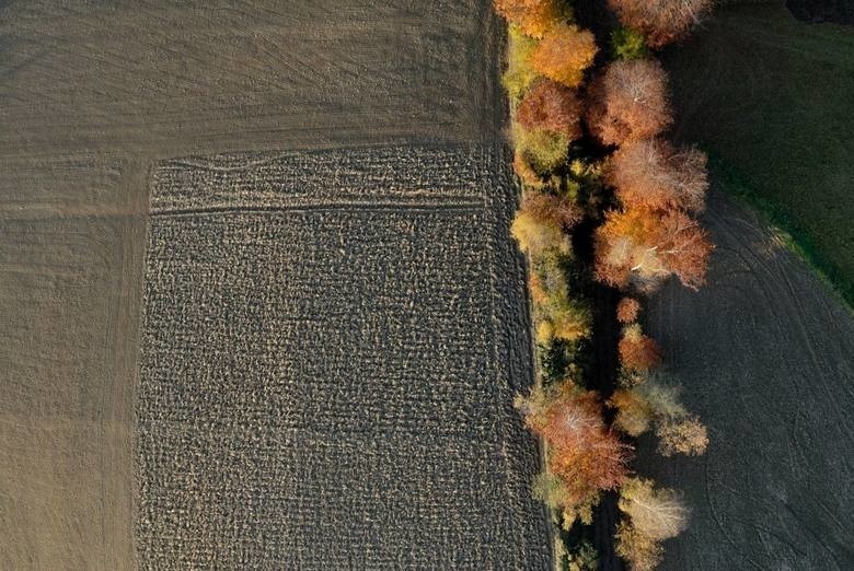 Tak wygląda Nowa Huta. Zobacz niesamowite zdjęcia z lotu ptaka 