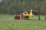 Gmina Studzienice. Tragedia podczas wyrębu lasu. Pracownik leśny przygnieciony drzewem. Śmigłowiec przetransportował go do szpitala