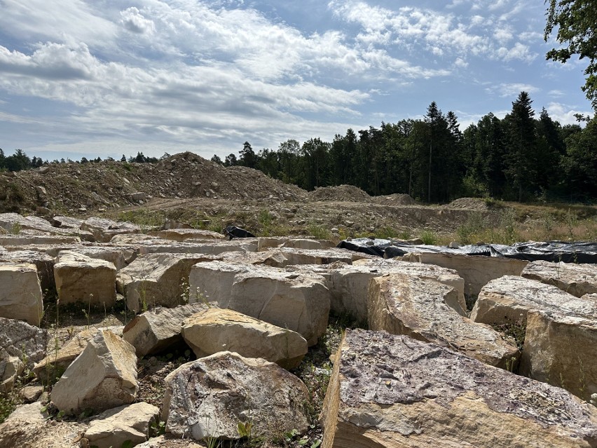 Czy powstanie planowany geopark w Borkowicach? Niektóre tropy dinozaurów mogą się zniszczyć, jeśli nie zostaną odpowiednio zabezpieczone