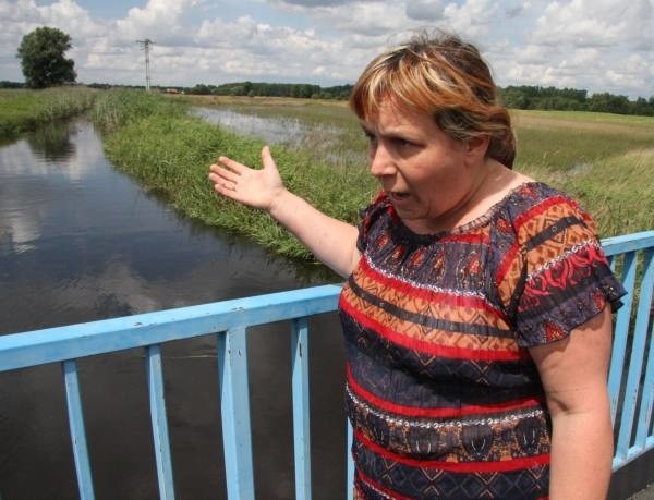 - Brak właściwej konserwacji koryta rzeki sprawił, że wylewa ona po każdej ulewie - mówi Kornelia Patrzek, sołtys Brynicy.