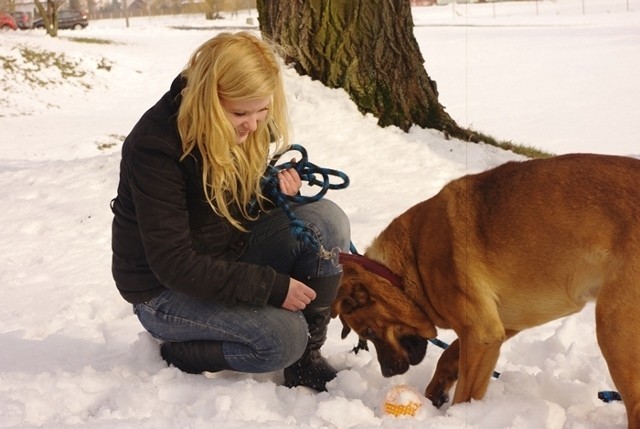 Angelika Brońka, inspektorka OTOZ Animals z Bohunem