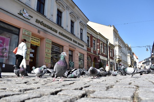 Centrum Nowego Sącza w czasie "narodowej kwarantanny". Na ul. Jagiellońskiej jest więcej gołębi niż ludzi