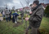 Seniorzy i przedszkolaki zaopiekują się drzewami. Sadzonki to prezent od leśników