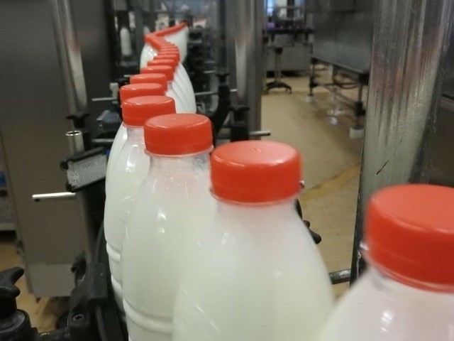 - Cieszy wysoki popyt na mleko z Mlekovity, bo jest to wynik satysfakcji konsumentów oraz ich zaufania do wysokiej jakości naszych produktów - ocenia prezes Grupy Mlekovita.