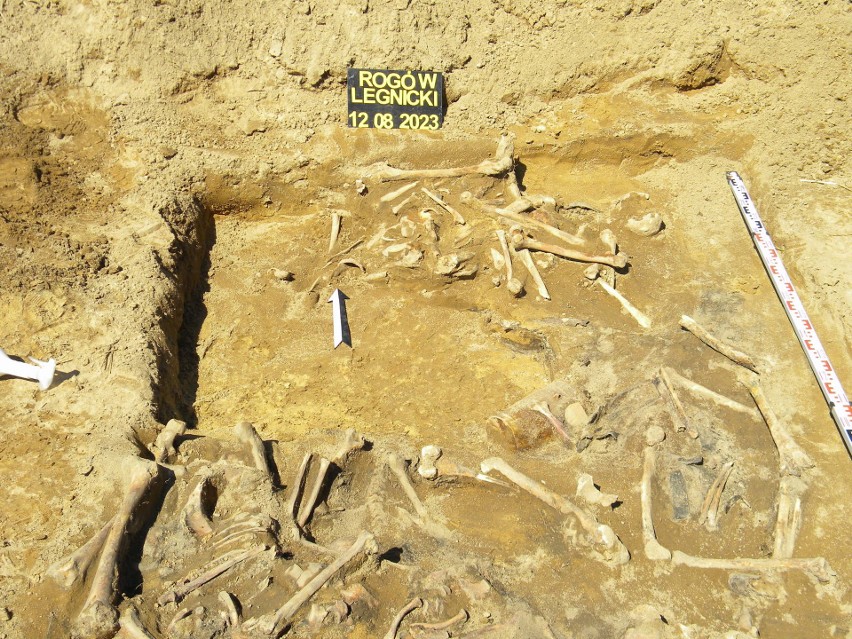 Na szczątki 34 osób natrafili archeolodzy na polu uprawnym w...