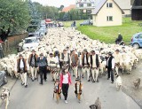 W niedzielę „Polaniarski Osod”