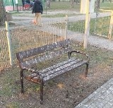 Park miejski w Ostrołęce. Brudne ławki i chodniki. "Wstyd i hańba" - uważa Czytelniczka. Ratusz odpowiada