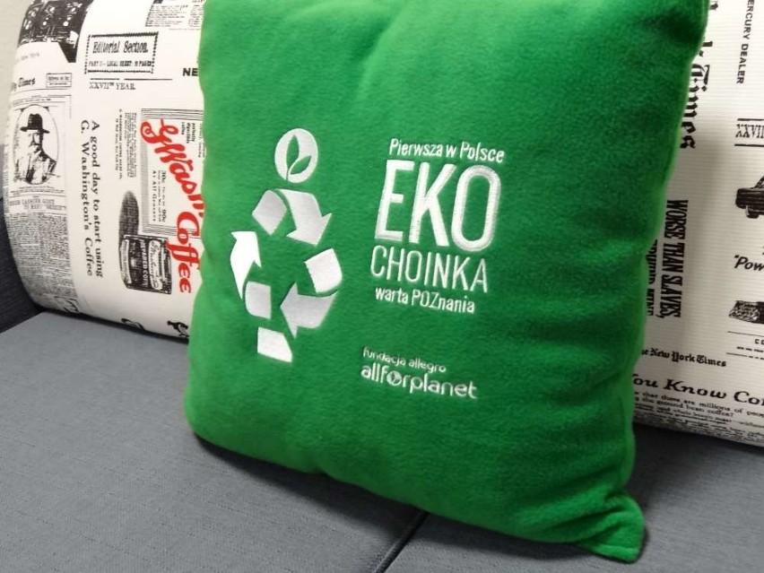 Z poznańskiej EKOchoinki zrobili poduszki. Można je kupić na Allegro [ZDJĘCIA]