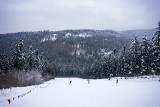 Stacje narciarskie blisko Krakowa. Gdzie można szusować w ferie?