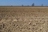 Ceny gruntów rolnych na Dolnym Śląsku ciągle rosną. Trudno jest na nich stracić (CENY)